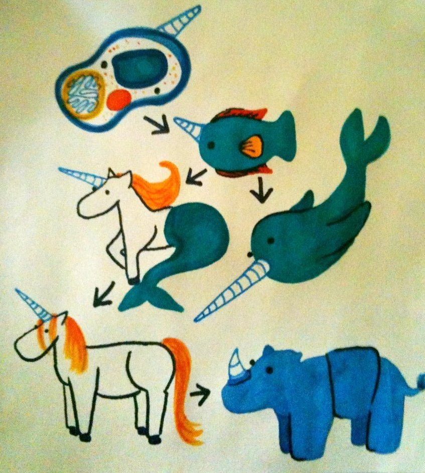 chaine d'évolution licorne darwinisme