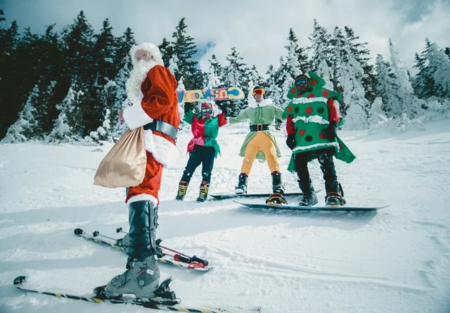 La combinaison pyjama animaux pour le ski - Kigurumi France