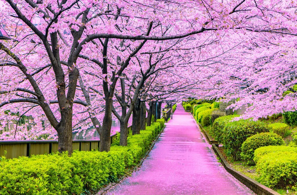 Les 10 plus belles villes du Japon (à visiter absolument)